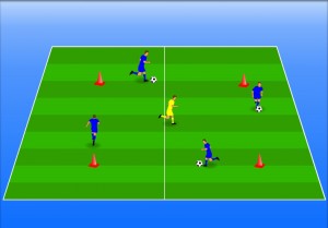 Esercitazione Pulcini guida palla