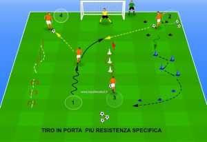 Clicca su per ingrandire